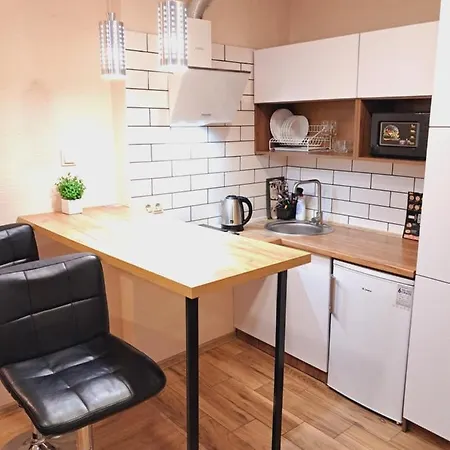איוונו-פרנקיבסק New Modern Apartments In The Center מראה חיצוני תמונה